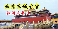 欧洲免费操逼视频中国北京-东城古宫旅游风景区